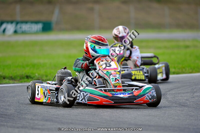 DSC_ (856).jpg